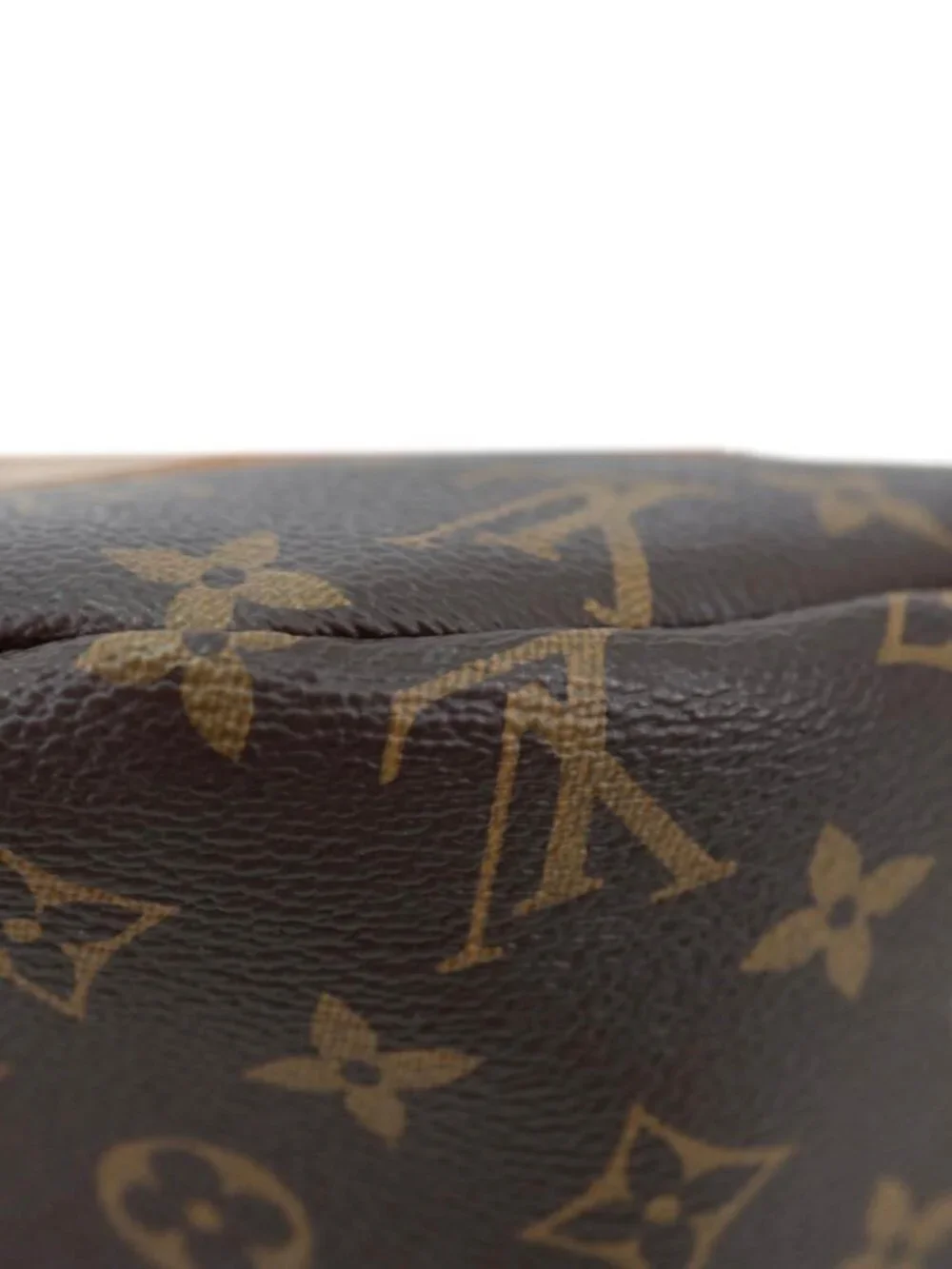 Louis Vuitton Monogram Canvas Bumbag Brown